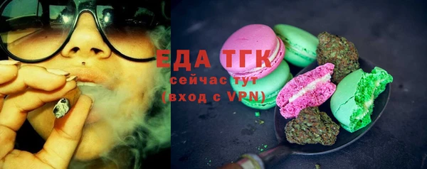 стаф Медногорск
