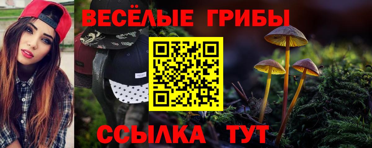 Псилоцибиновые грибы ЛСД  Галлюциногенные грибы MAGIC MUSHROOMS  Вход с VPN  Унеча 