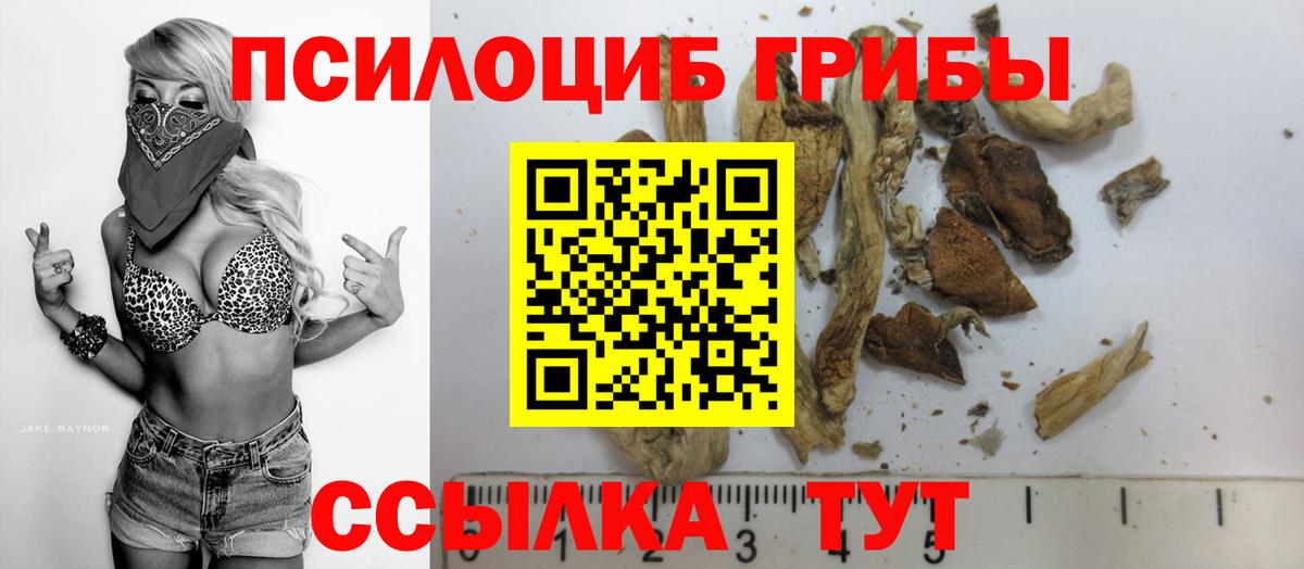 Псилоцибиновые грибы GOLDEN TEACHER Унеча